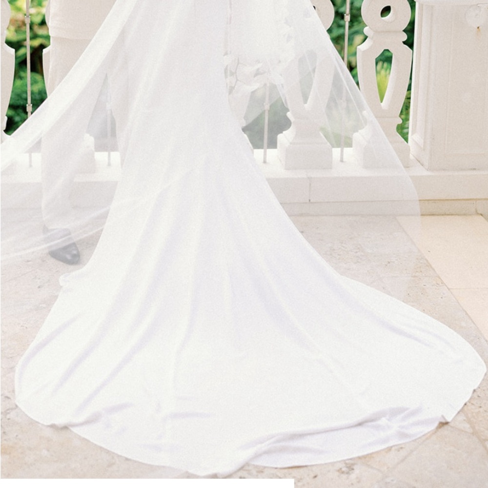 Veil - Picture 4 of 4